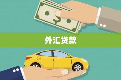 襄阳外汇贷款