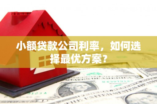 襄阳小额贷款公司利率，如何选择最优方案？