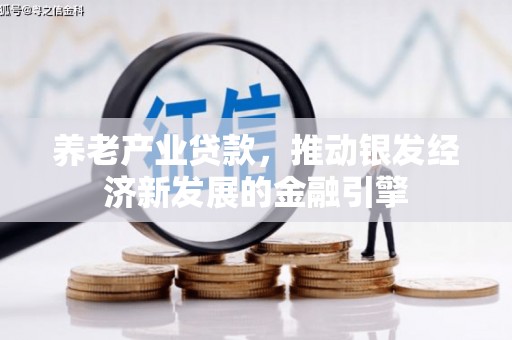 襄阳养老产业贷款，推动银发经济新发展的金融引擎