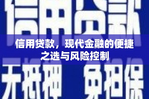 襄阳信用贷款，现代金融的便捷之选与风险控制