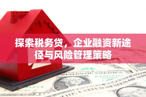 襄阳探索税务贷，企业融资新途径与风险管理策略