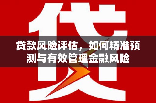 襄阳贷款风险评估，如何精准预测与有效管理金融风险