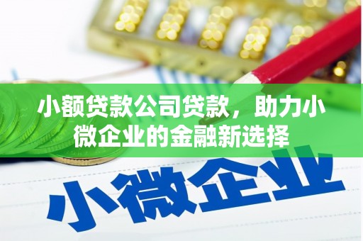襄阳小额贷款公司贷款，助力小微企业的金融新选择