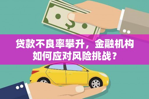 襄阳贷款不良率攀升，金融机构如何应对风险挑战？
