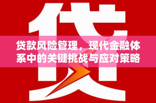 襄阳贷款风险管理，现代金融体系中的关键挑战与应对策略