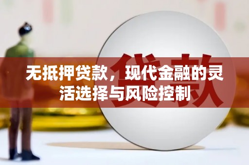 襄阳无抵押贷款，现代金融的灵活选择与风险控制