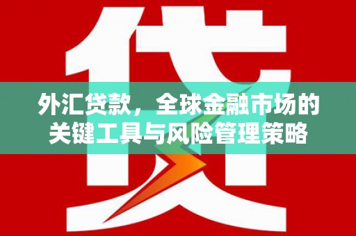 襄阳外汇贷款，全球金融市场的关键工具与风险管理策略