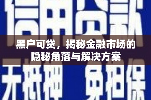 襄阳黑户可贷，揭秘金融市场的隐秘角落与解决方案