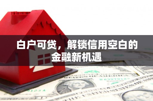 襄阳白户可贷，解锁信用空白的金融新机遇