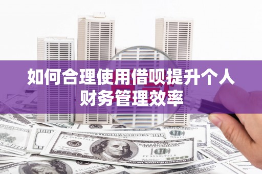 襄阳如何合理使用借呗提升个人财务管理效率