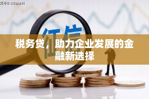 襄阳税务贷，助力企业发展的金融新选择