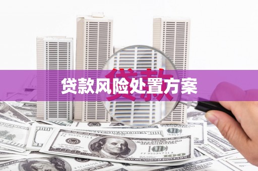 襄阳贷款风险处置方案