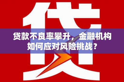 襄阳贷款不良率攀升，金融机构如何应对风险挑战？
