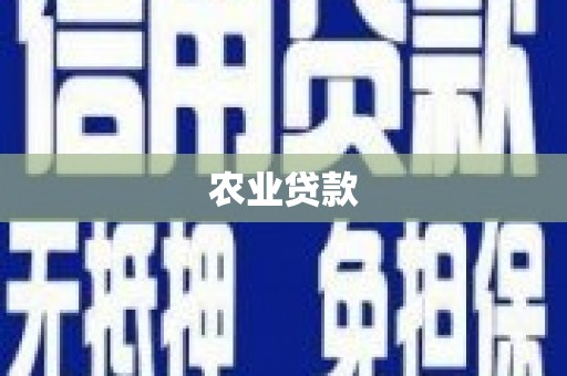 襄阳农业贷款