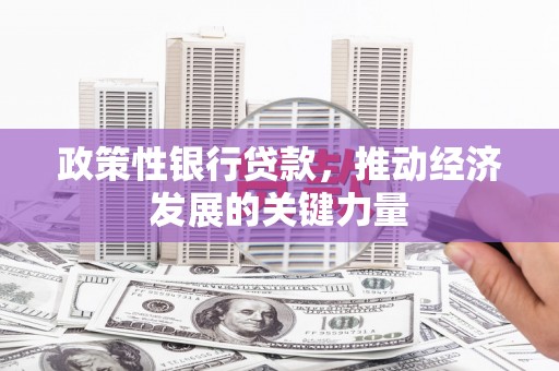 襄阳政策性银行贷款，推动经济发展的关键力量