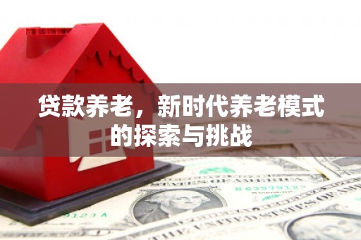 襄阳贷款养老，新时代养老模式的探索与挑战