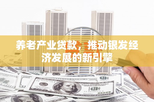襄阳养老产业贷款，推动银发经济发展的新引擎