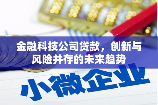 襄阳金融科技公司贷款，创新与风险并存的未来趋势