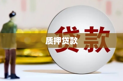 襄阳质押贷款