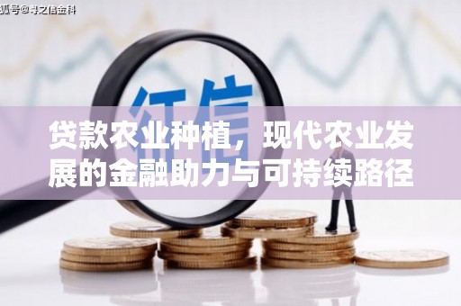 襄阳贷款农业种植，现代农业发展的金融助力与可持续路径