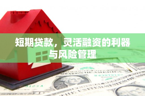 襄阳短期贷款，灵活融资的利器与风险管理