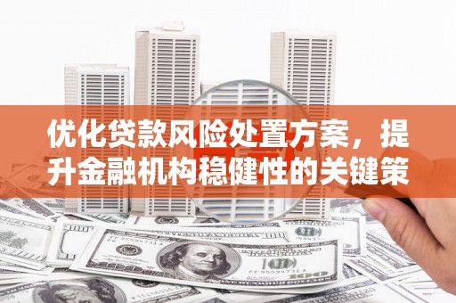 襄阳优化贷款风险处置方案，提升金融机构稳健性的关键策略