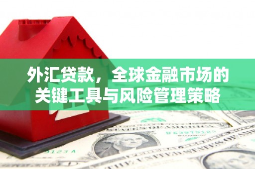 襄阳外汇贷款，全球金融市场的关键工具与风险管理策略