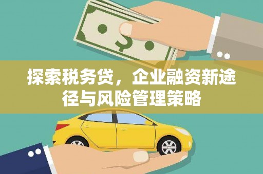 襄阳探索税务贷，企业融资新途径与风险管理策略