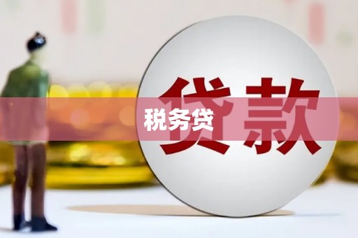 襄阳税务贷