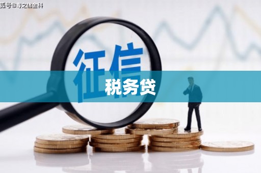 襄阳税务贷