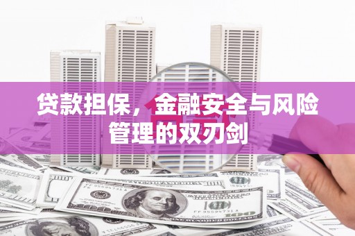 襄阳贷款担保，金融安全与风险管理的双刃剑