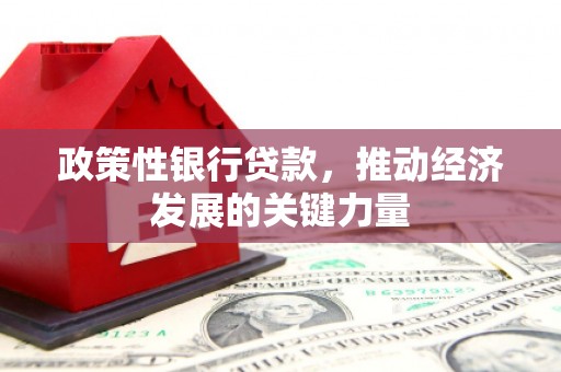 襄阳政策性银行贷款，推动经济发展的关键力量