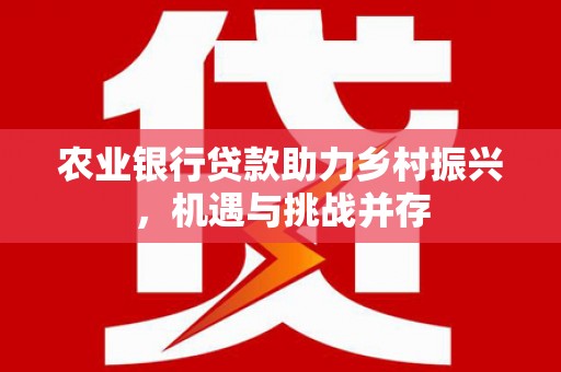 襄阳农业银行贷款助力乡村振兴，机遇与挑战并存