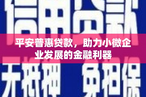 襄阳平安普惠贷款，助力小微企业发展的金融利器