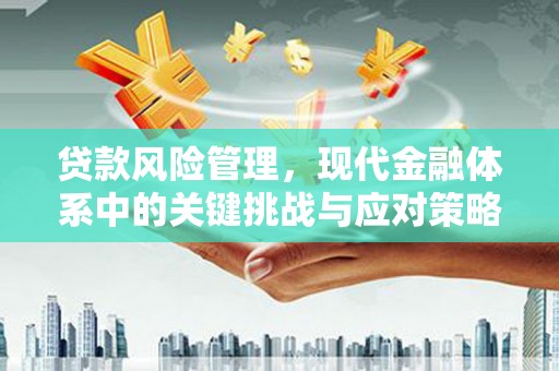 襄阳贷款风险管理，现代金融体系中的关键挑战与应对策略