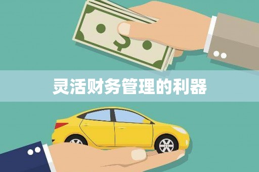 襄阳灵活财务管理的利器