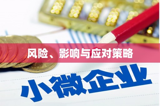襄阳风险、影响与应对策略