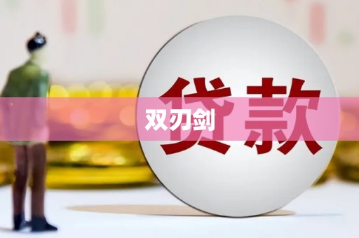 襄阳双刃剑