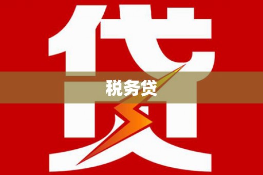 襄阳税务贷