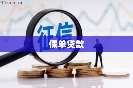 襄阳保单贷款 襄阳保单贷款